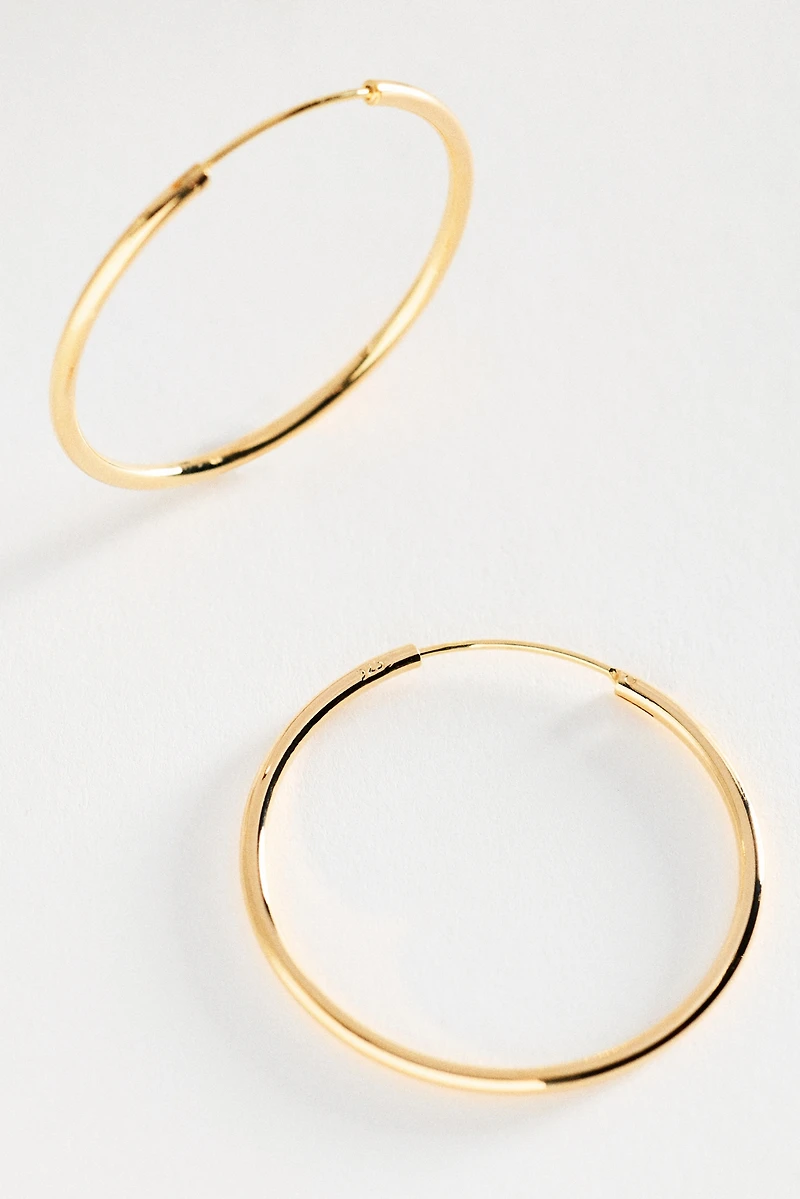 Delicate Gilded Hoop Earrings