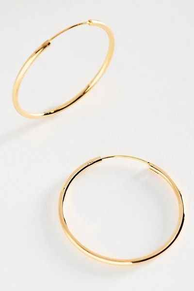 Delicate Gilded Hoop Earrings