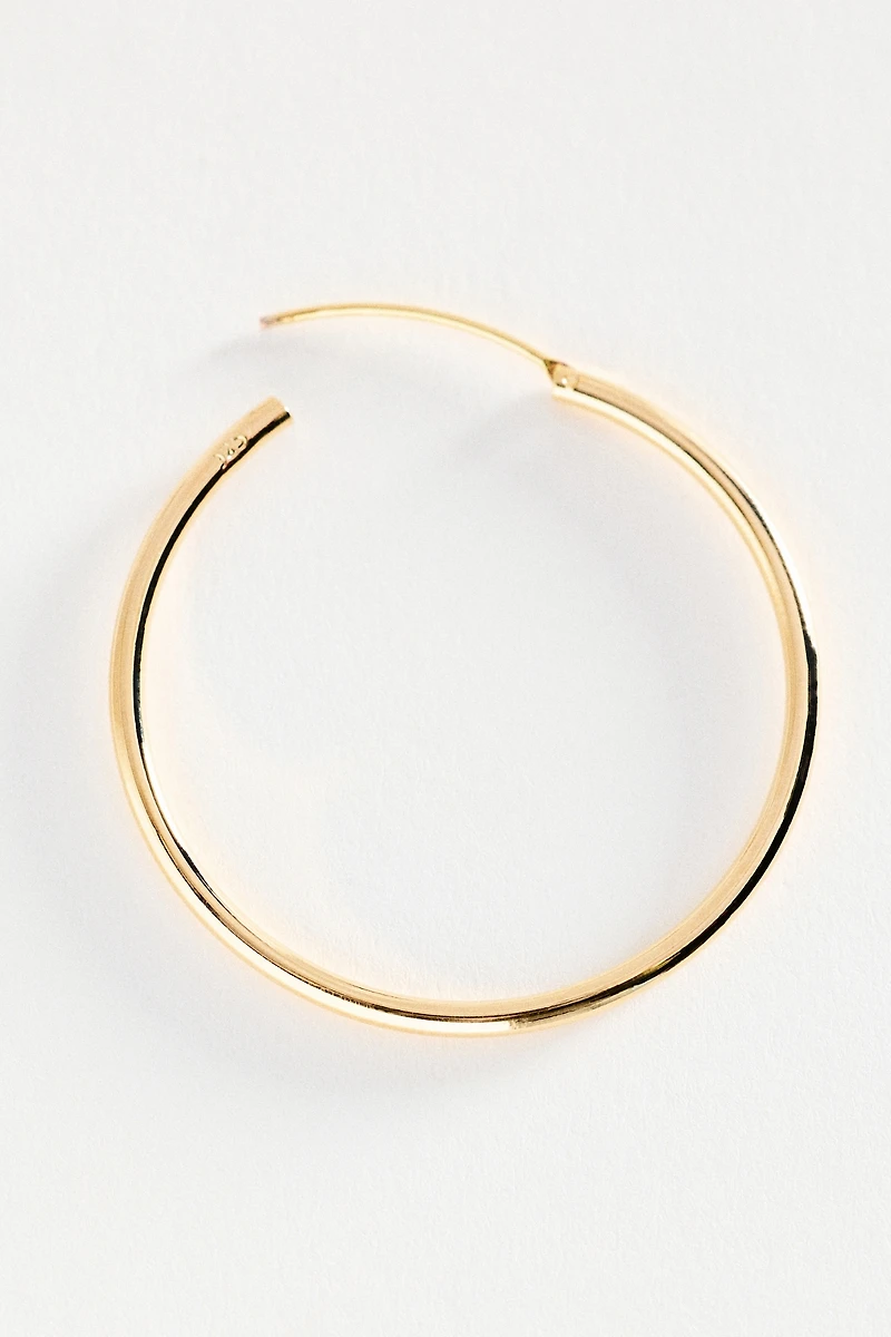 Delicate Gilded Hoop Earrings