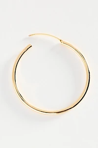 Delicate Gilded Hoop Earrings