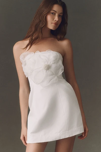 BHLDN Strapless Appliqué Mini Dress