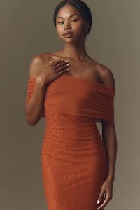 BHLDN Off-The-Shoulder Lace and Mesh Maxi Dress