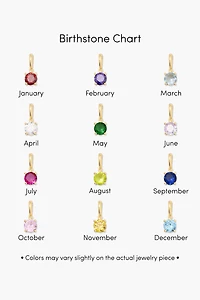 Brook & York Custom Mini Initial Birthstone Necklace