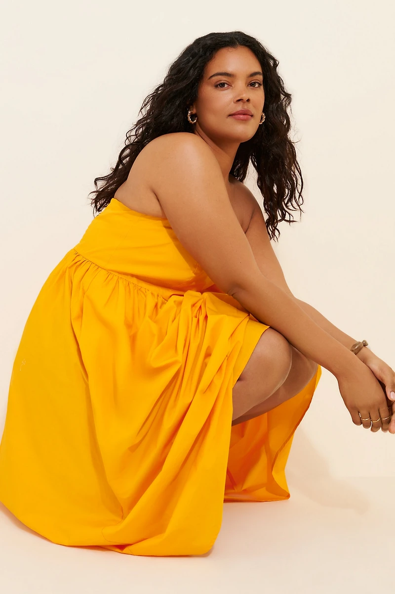 Eloquii Poplin Fit And Flare Maxi Dress