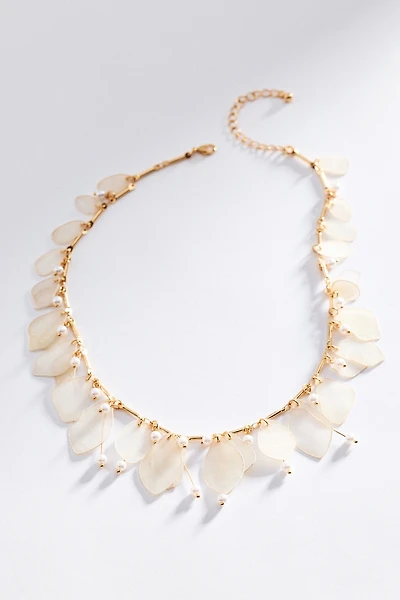 Delicate Shell Collar Necklace