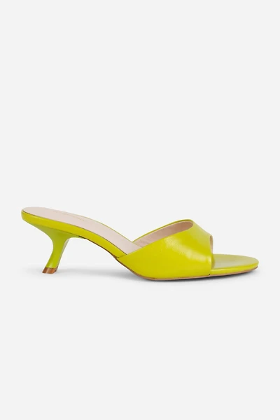 Intentionally Blank Given Mule Kitten Heels