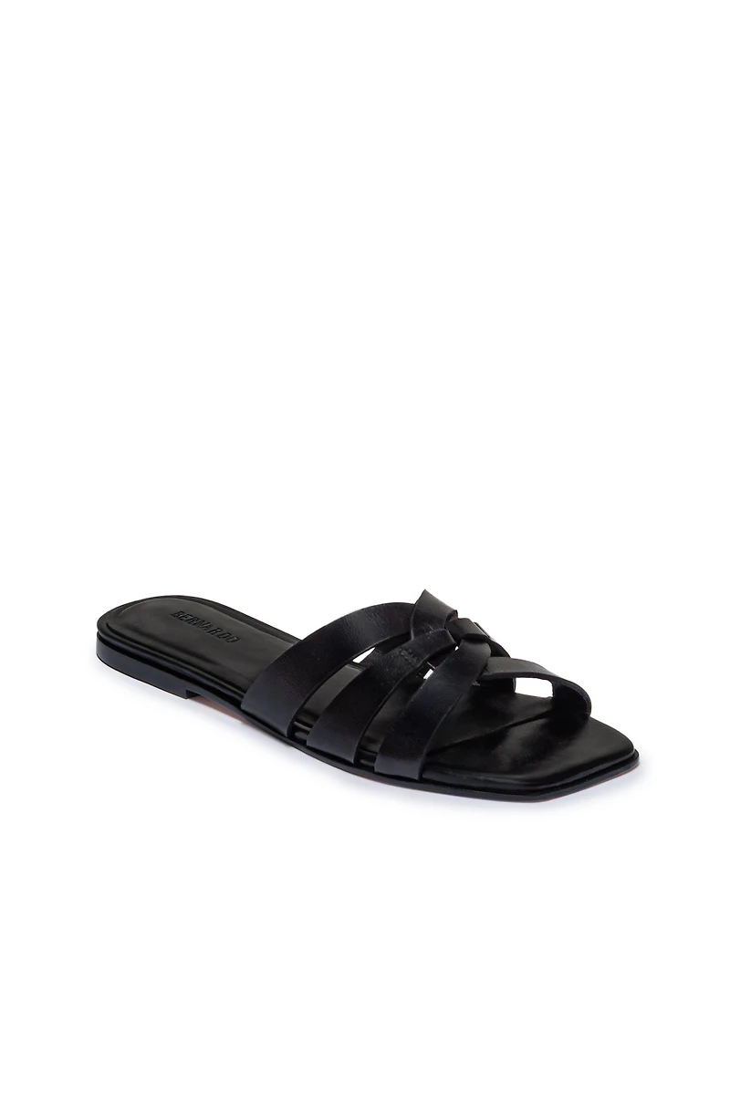 Bernardo Oxford-05 Slides