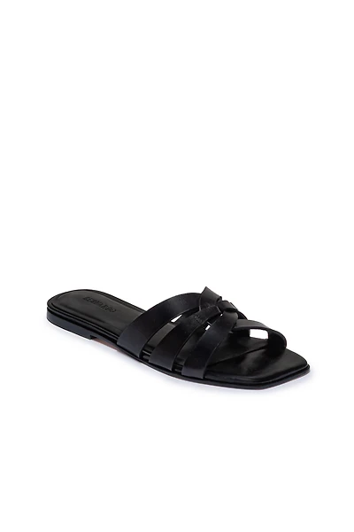 Bernardo Oxford-05 Slides