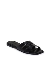 Bernardo Oxford-05 Slides