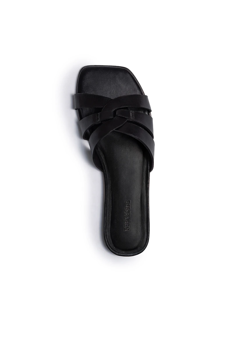 Bernardo Oxford-05 Slides