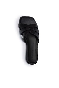 Bernardo Oxford-05 Slides