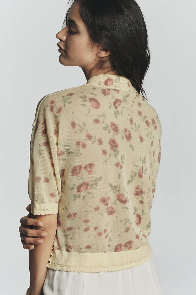 Maeve Short Sleeve Sheer Pullover Sweater