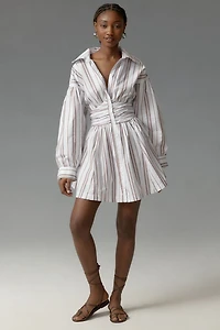 Long-Sleeve Collared A-Line Mini Dress