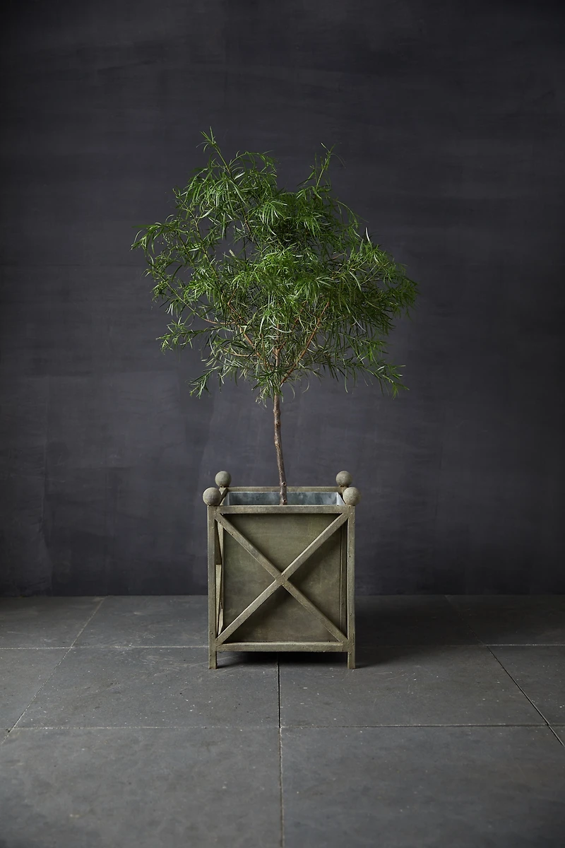 Wrought Iron Cross Bar Planter