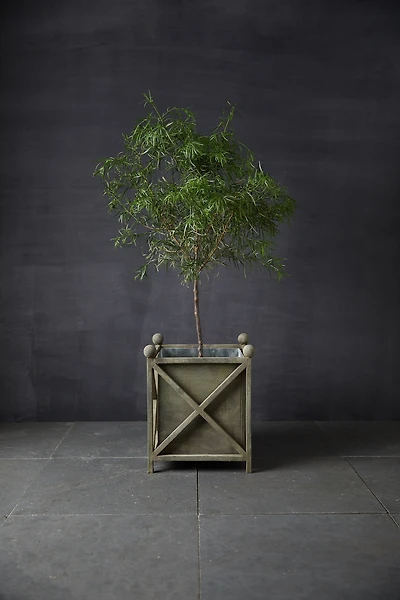 Wrought Iron Cross Bar Planter