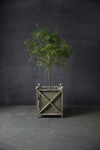 Wrought Iron Cross Bar Planter