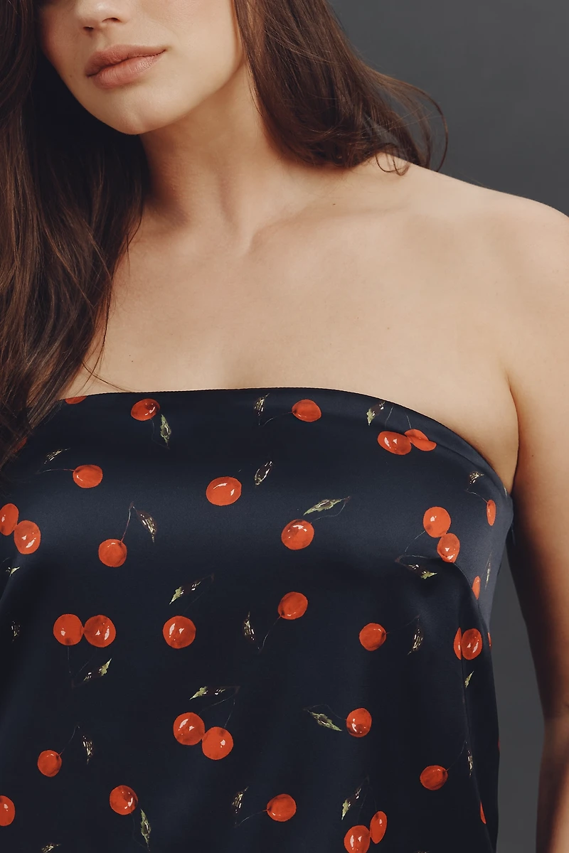 Hutch Plus Strapless Top