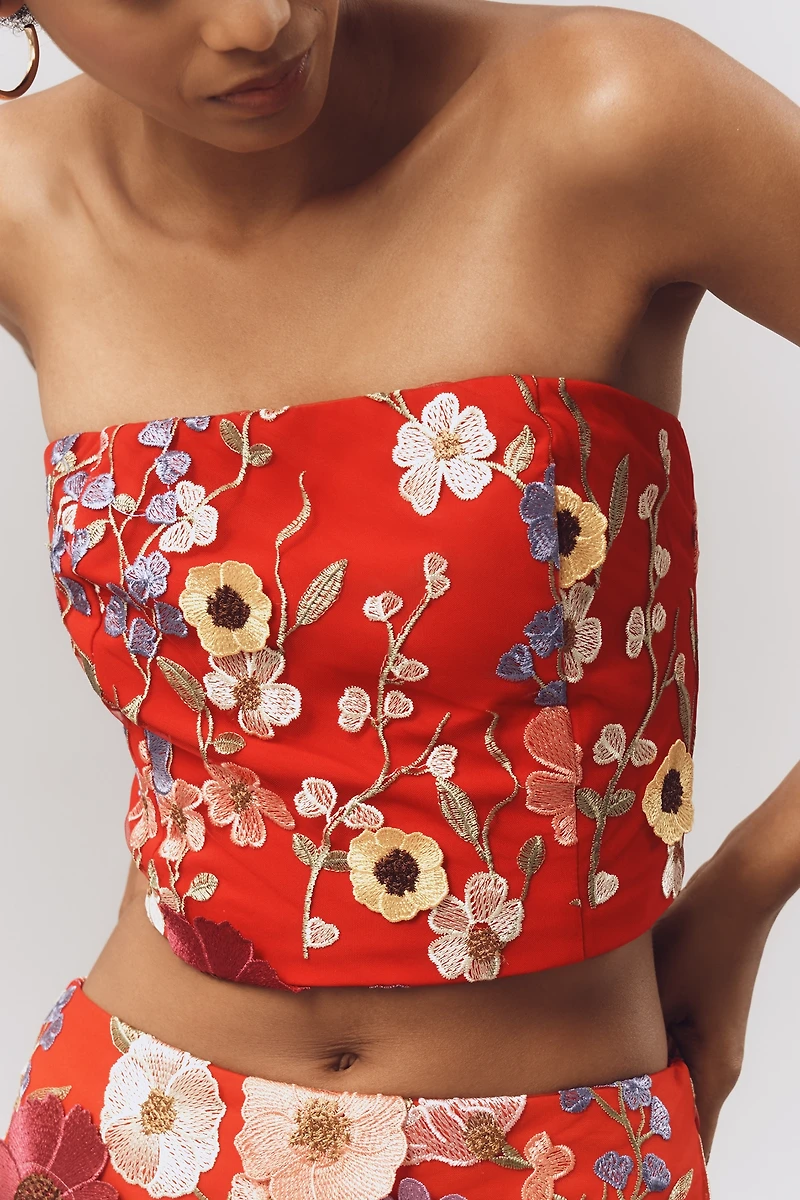 Endless Rose Strapless Embroidered Crop Top