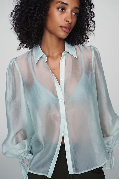 By Anthropologie Sheer Buttondown Blouse