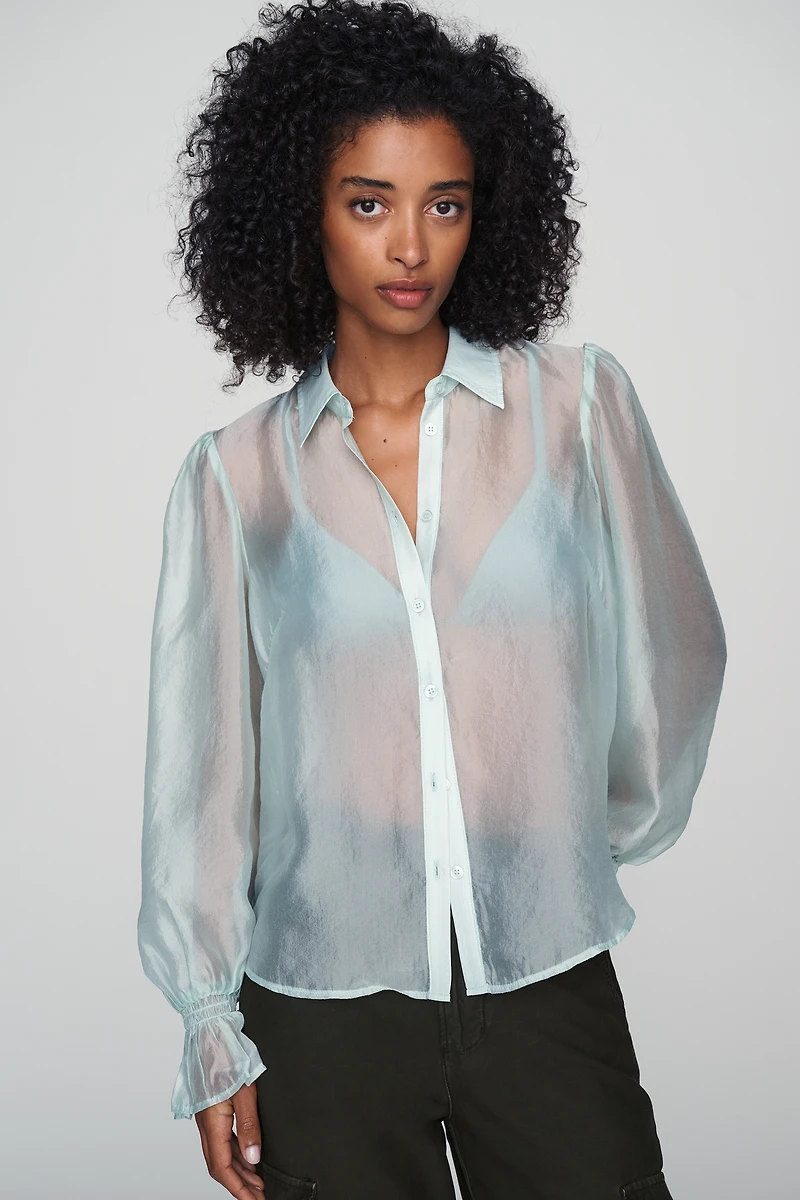 By Anthropologie Sheer Buttondown Blouse