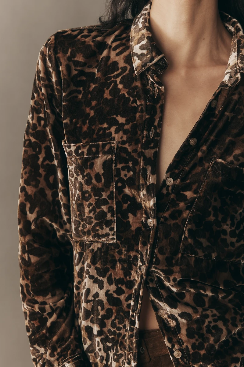 Pilcro Hadley Velvet Relaxed Buttondown Shirt
