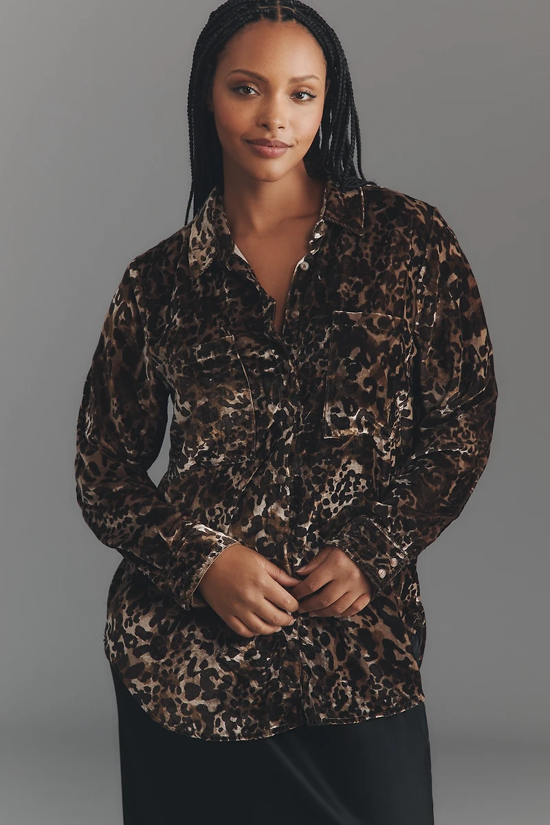 Pilcro Hadley Velvet Relaxed Buttondown Shirt