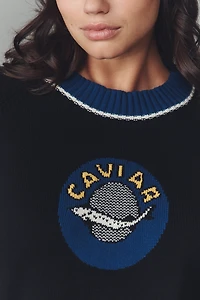 Rachel Antonoff Caviar Intarsia Sweater