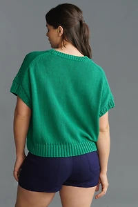 Maeve Short-Sleeve Crew-Neck Veggie Motif Graphic Sweater