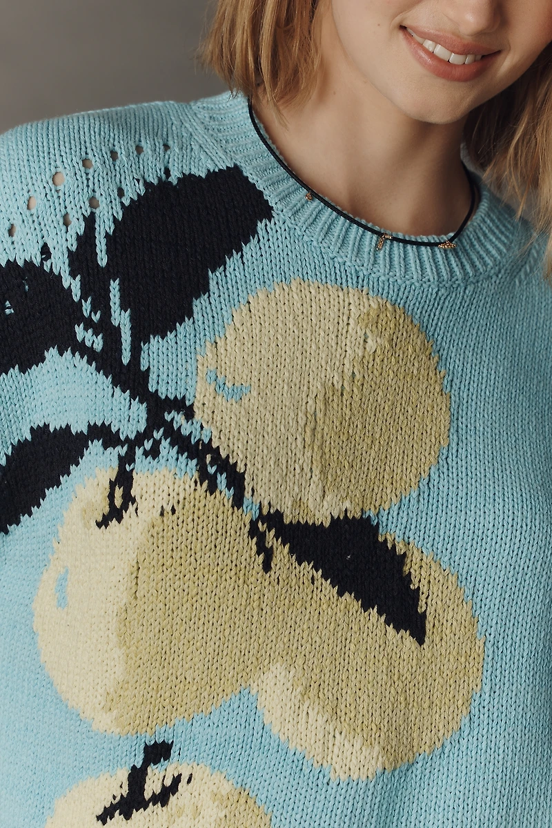 Maeve Short-Sleeve Crew-Neck Veggie Motif Graphic Sweater