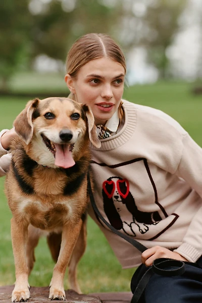 Flat White Crew-Neck Dog Icon Sweater