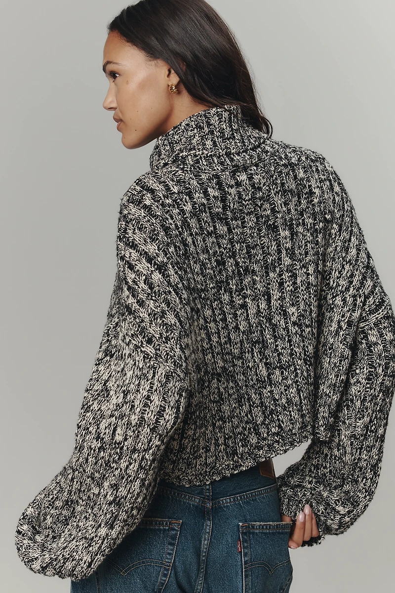 Denimist American Flag Cropped Turtleneck Sweater