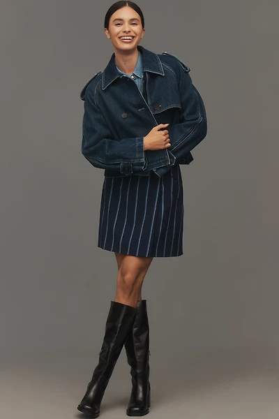Maeve Stripe A-Line Mini Skirt