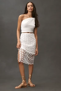 By Anthropologie 3D Texture Sheer Slip Midi Skirt