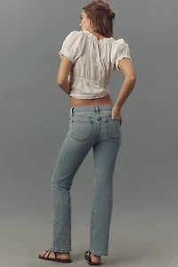 Joe's Jeans The Provocateur Petite