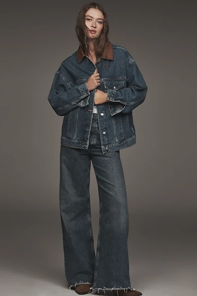 AGOLDE Dame High-Rise Wide-Leg Jeans
