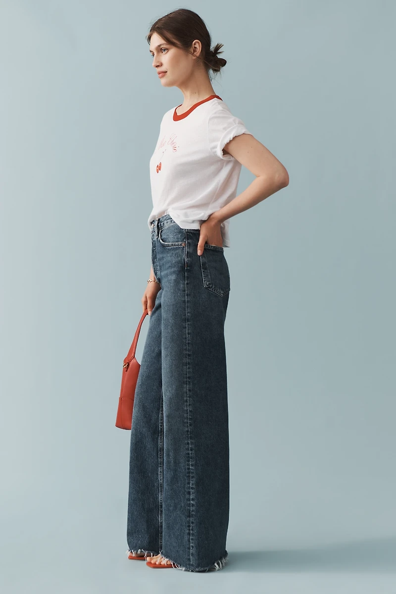 AGOLDE Dame High-Rise Wide-Leg Jeans
