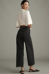 AGOLDE Ren High-Rise Crop Wide-Leg Jeans