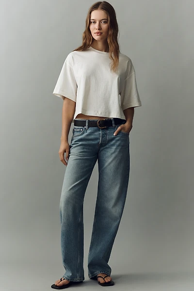 EB Denim Low-Rise Baggy Wide-Leg Jeans