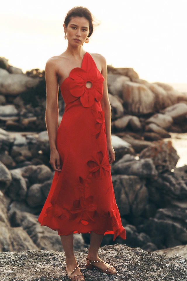 anthropologie one-shoulder silk midi dress New Anthropologie One-Shoulder Silk Midi Dress Size 12 MSRP: $260