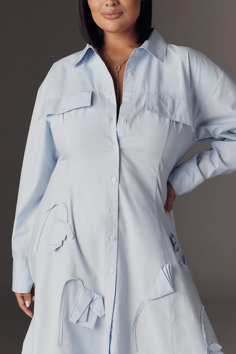 Maeve 3D Floral Long-Sleeve A-Line Shirt Dress