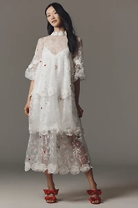 Maeve Sheer 3D Floral Long-Sleeve V-Neck Maxi Dress