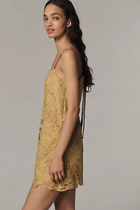 Line & Dot Tansy Lace Square-Neck Mini Dress