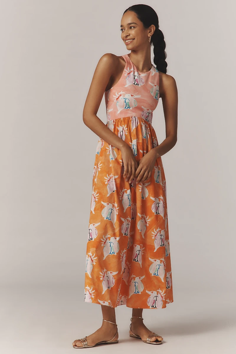 Rachel Antonoff Reese Printed A-Line Maxi Dress