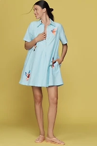 The Pollie Short-Sleeve Swing Tunic Mini Dress: Embroidered Edition