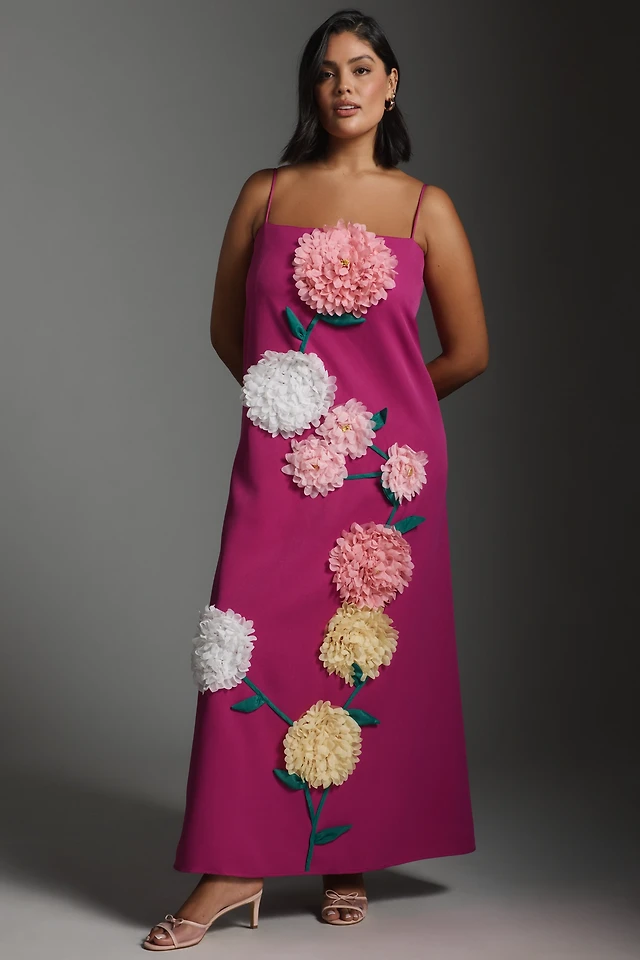 Helsi Clara Puff-Sleeve Sheer Floral Appliqu Maxi Dress at MarketFair  Shoppes in Princeton, NJ