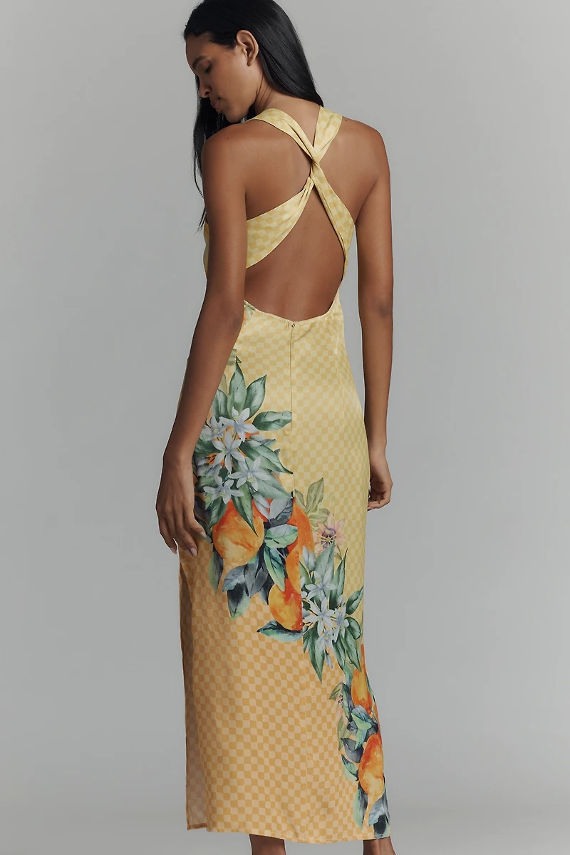 Conditions Apply Anny Sleeveless Cowl-Neck Maxi Dress