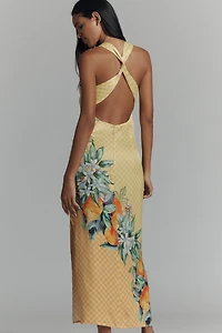 Conditions Apply Anny Sleeveless Cowl-Neck Maxi Dress