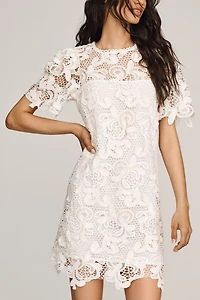 English Factory Lace Shift Dress