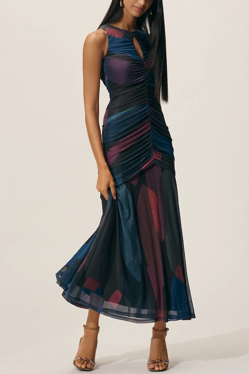 Hutch Sleeveless Slim Mesh Maxi Dress