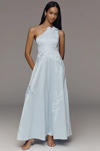 Hutch Adelaide One-Shoulder Maxi Dress